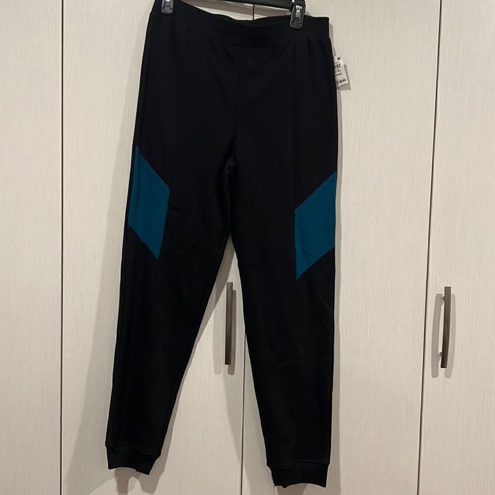 Ideology Jagger pants